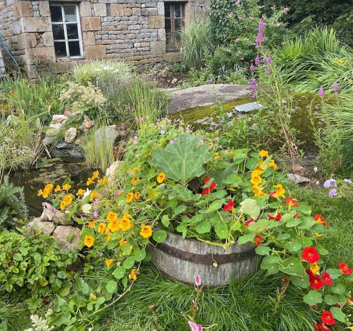 Le Petit Fleur - The Little Flower, Cosy Cottage Saint-Michel-de-Montjoie 외부 사진