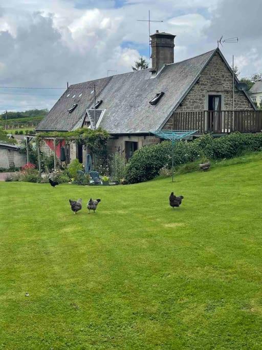 Le Petit Fleur - The Little Flower, Cosy Cottage Saint-Michel-de-Montjoie 외부 사진